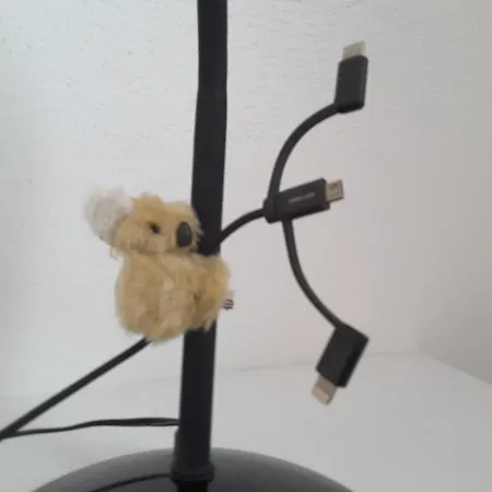 Am Stadtwald, 24h Check-in アパート