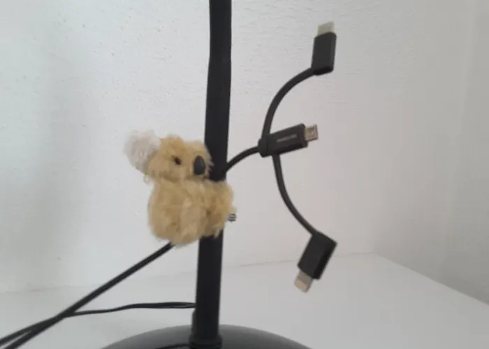 Am Stadtwald, 24h Check-in Lägenhet